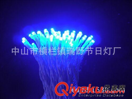 tj供應LED節(jié)日燈串 LED裝飾燈燈串 藍色光燈串 規(guī)格可定制原始圖片2
