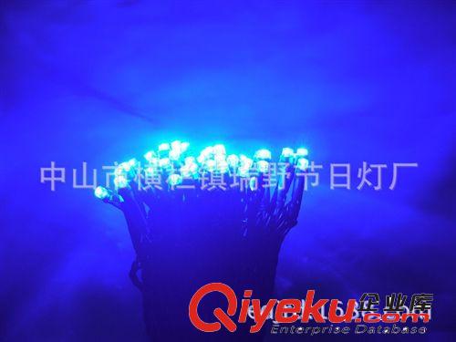 tj供應LED節(jié)日燈串 LED裝飾燈燈串 藍色光燈串 規(guī)格可定制原始圖片3