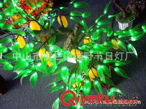 批發(fā)供應(yīng)櫻花樹原始圖片2
