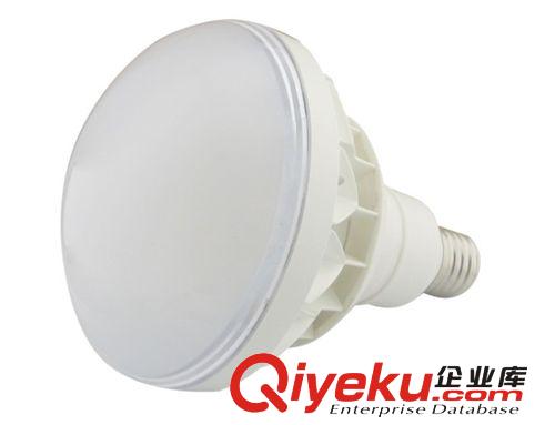 廠家直銷 新款PAR38 20W IP65 LED防水射燈 戶外防水射燈 高亮