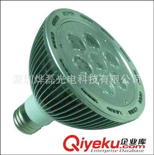 供應(yīng)LED鰭片式PAR30射燈12W /鰭片鋁par30 12W 射燈/LED PAR30外