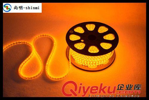 Manufacture 220v 3528 led strip 3528高壓220vLED燈帶燈條光帶