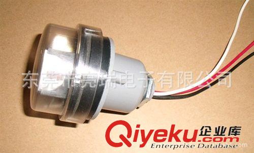 專業(yè)生產(chǎn)供應(yīng)戶外燈適用220-240V防水光控原始圖片3