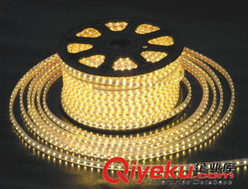 廠家直銷  優(yōu)質(zhì) 5050-60燈單芯 高壓燈帶  白光/暖白原始圖片3