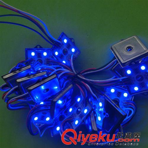 專業生產 優質3535LED四燈招牌光源模組原始圖片3