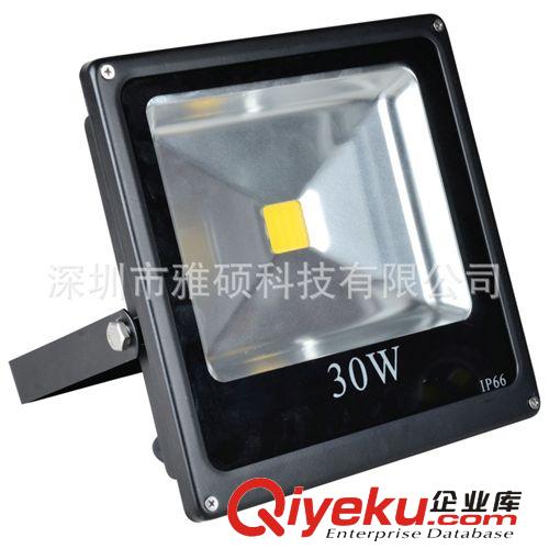 廠家供應新款led投光燈 led集成投光燈 cob投光燈10W 20W 30W原始圖片2