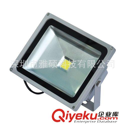 LED泛光燈 20W 戶外IP67 廠家直銷質(zhì)保2年集成泛光燈