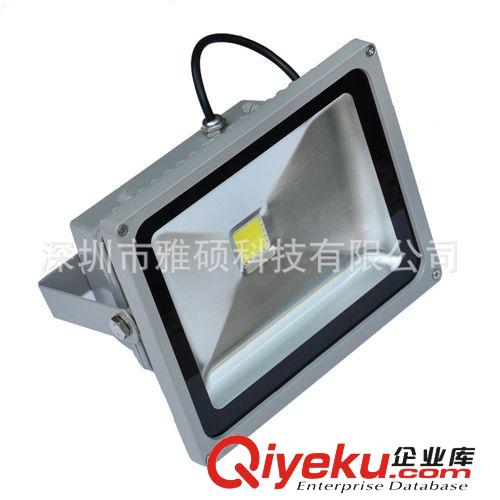 LED投光燈 30W LED泛光燈 戶外防水IP67LED廣告招牌燈原始圖片2