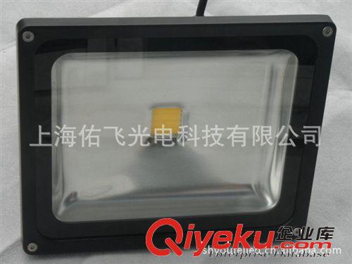 大功率集成LED投光灯30W-50W