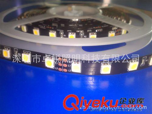 可調(diào)色溫?zé)魲l 5050LED-60燈正白與暖白高流明調(diào)色溫?zé)魲l原始圖片2