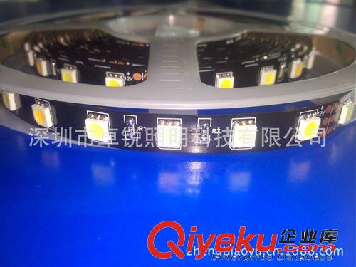 可調(diào)色溫?zé)魲l 5050LED-60燈正白與暖白高流明調(diào)色溫?zé)魲l原始圖片3