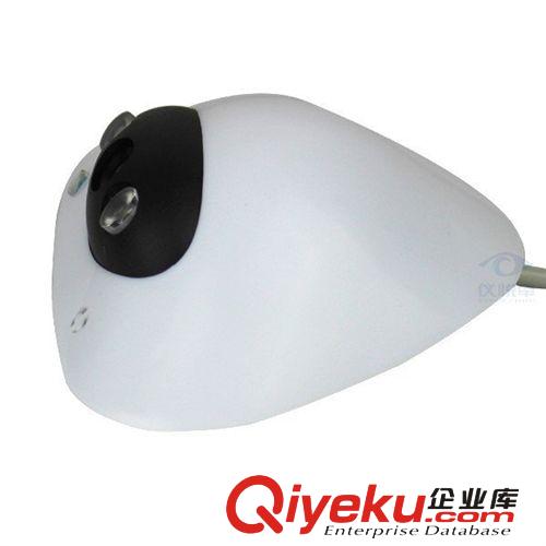 紅外高清監(jiān)控攝像頭 安防監(jiān)控攝像機(jī)CMOS 1000線 外貿(mào)廠家直銷原始圖片3