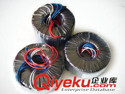 5V12V24V48V 100W環形變壓器，直銷變壓器 質量好 價格優惠原始圖片2