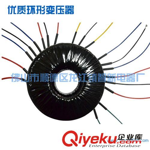 廠家直銷批發(fā)優(yōu)質(zhì)環(huán)形電源變壓器 可按要求定做原始圖片3