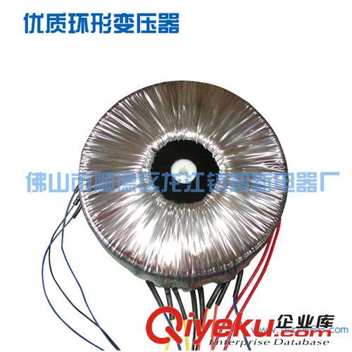 廠家直銷批發優質環形電源變壓器 可按要求定做原始圖片2