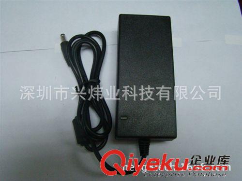 廠家供應(yīng)12V4A電源適配器48W桌面式開關(guān)電源