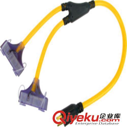 電源線廠家供應(yīng) 歐洲國標(biāo)CCC 英國 澳大利亞  巴西日本韓國電源線原始圖片2