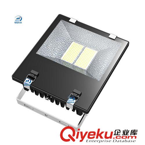 LED泛光燈明緯配件gd廣告牌用燈小區庭院廣場加油站用燈200W I