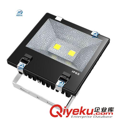 LED泛光灯庭院灯大型广告牌补光灯照射灯鳍片散热泛光灯120W I