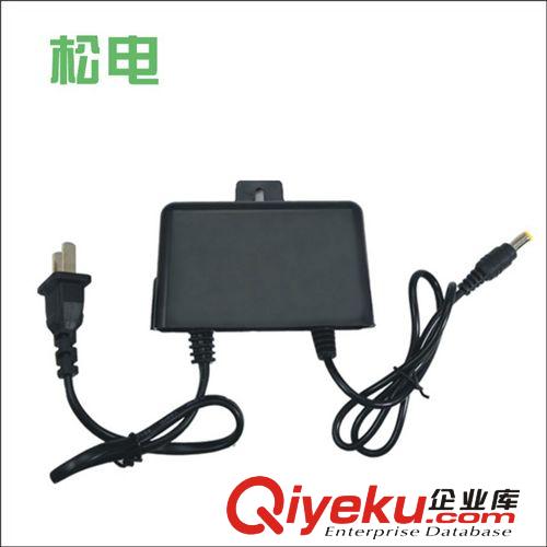 松電監(jiān)控電源/室內(nèi)室外防水電源/12v 2A電源/興視堡防水電源/配件原始圖片3