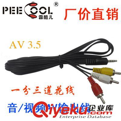 【PEECOOL霹酷兒】廠家批發(fā)9V擴(kuò)音器專用USB充電器 充電頭