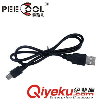 【霹酷兒】擴(kuò)音機(jī)用USB扁頭充電線 可連接電腦為擴(kuò)音器充電用原始圖片2