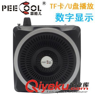 霹酷兒廠家批發PC998小蜜蜂多功能插卡教學唱戲聽戲擴音機擴音器原始圖片2