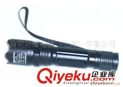 专业BW6100B优质微型强光防爆电筒供应商