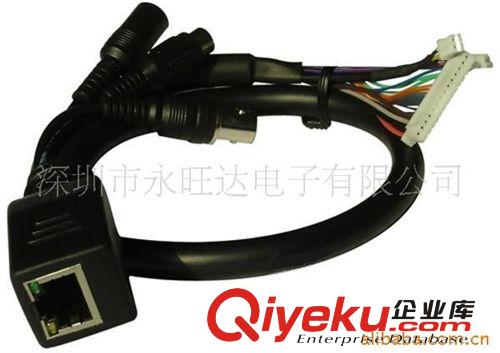 廠家直銷BNC線 高速球攝像機連接線  連接線 BNC線廠家批發(fā)原始圖片2