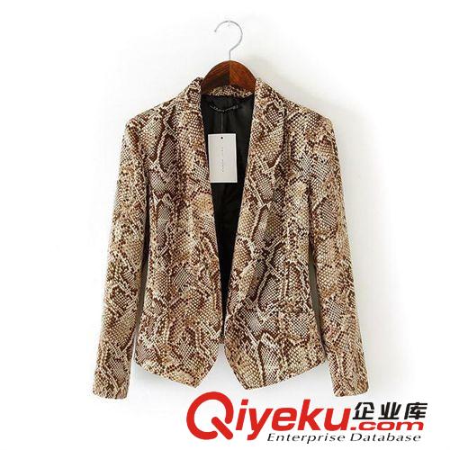 A9-6191 歐美2014新款 蛇紋印花休閑西裝外套 女士原始圖片2