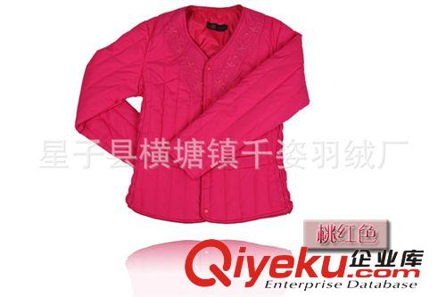 廠家2014中老年女士羽絨服內(nèi)膽 雞心領(lǐng)修身 低價(jià)長(zhǎng)袖