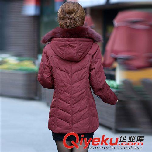 2014冬裝新款時(shí)尚韓版修身女士羽絨服 圣羽博雅品牌中老年裝批發(fā)原始圖片2