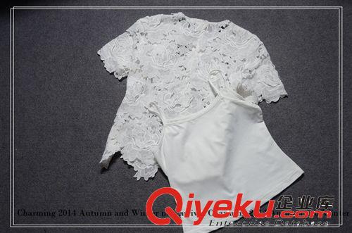 歐洲站dp新款女裝 水溶花上衣 吊帶 燕尾拼接半裙三件套 gc2659原始圖片2