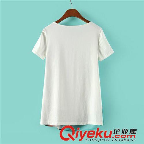 蘇顏2014夏裝新品歐洲站抽象文藝風(fēng)格短袖歐根紗女裝T恤批發(fā)原始圖片2