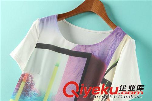 蘇顏2014夏裝新品歐洲站抽象文藝風(fēng)格短袖歐根紗女裝T恤批發(fā)原始圖片3