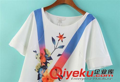 蘇顏2014時尚夏裝新品 歐美花卉印花樸素風(fēng)圓領(lǐng)T恤女裝批發(fā)