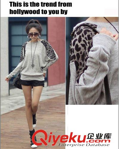 2011{zx1}外貿(mào)原單氣質(zhì)長袖T恤打底衫 女式t恤批發(fā) D5-1389原始圖片3