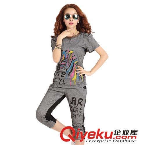 代理加盟代發(fā)春裝新款大碼女裝胖m運動休閑長袖套裝1件代發(fā) 貨源