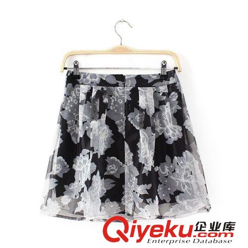 3544-0.3韓版夏季新款歐根紗復(fù)古花朵短裙蓬蓬裙