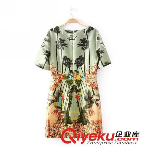 A07-89-064 F.M.P 2014夏季新款時(shí)尚條紋拼接后拉鏈短袖連衣裙