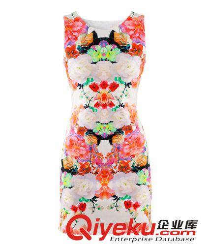 C16-17-075 春夏新款A(yù)ngelababy同款復(fù)古印花連衣裙原始圖片3