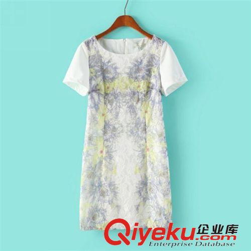 A131-01412 F.M.P 歐洲站夏季精品前身蕾絲印花鏤空短袖連衣裙原始圖片2