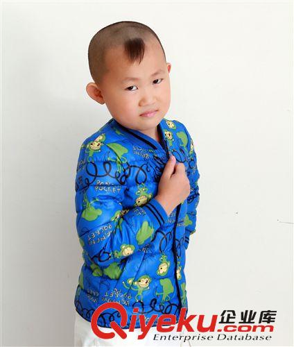 新款童羽絨內膽 童羽絨服兒童羽絨服內膽兒童內膽女童羽絨服內膽原始圖片3