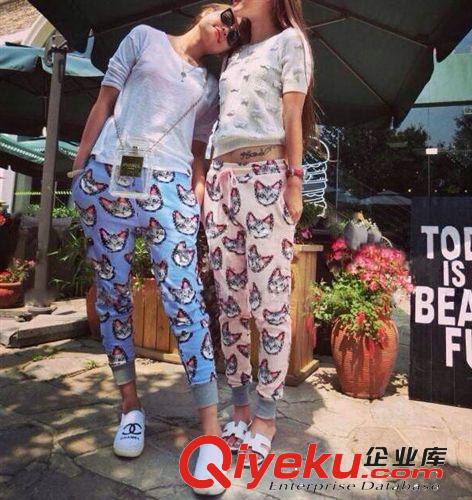 花兒與少年李小璐同款貓咪上衣褲子兩件套衛(wèi)衣套裝原始圖片2