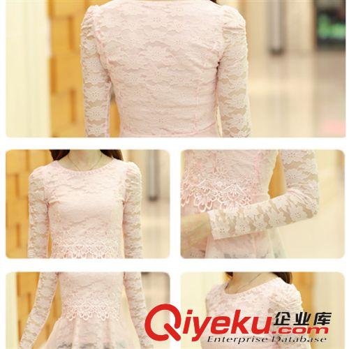 秋季網(wǎng)紗蕾絲打底衫 2014女裝韓版時尚刺繡修身性感長袖打底衫原始圖片3