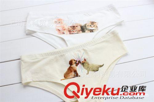 歐單外貿(mào)尾貨正品特價(jià) 卡通內(nèi)褲 可愛(ài) 批發(fā)特價(jià)女裝新款原始圖片3