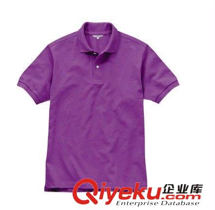 新款翻領(lǐng)休閑文化衫原始圖片3