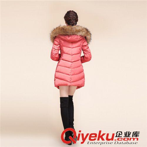 廠家直銷(xiāo)冬款韓版羽絨棉服女款修身毛領(lǐng)女式羽絨棉服新款棉衣批發(fā)原始圖片2