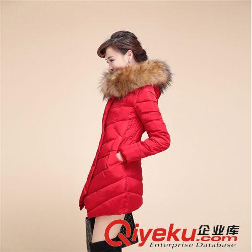 廠家直銷(xiāo)冬款韓版羽絨棉服女款修身毛領(lǐng)女式羽絨棉服新款棉衣批發(fā)原始圖片3