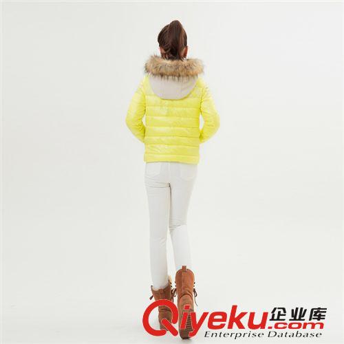 廠家直銷 2013冬季新款 韓版女裝羽絨服  短款毛領(lǐng)女式羽絨服批發(fā)原始圖片2